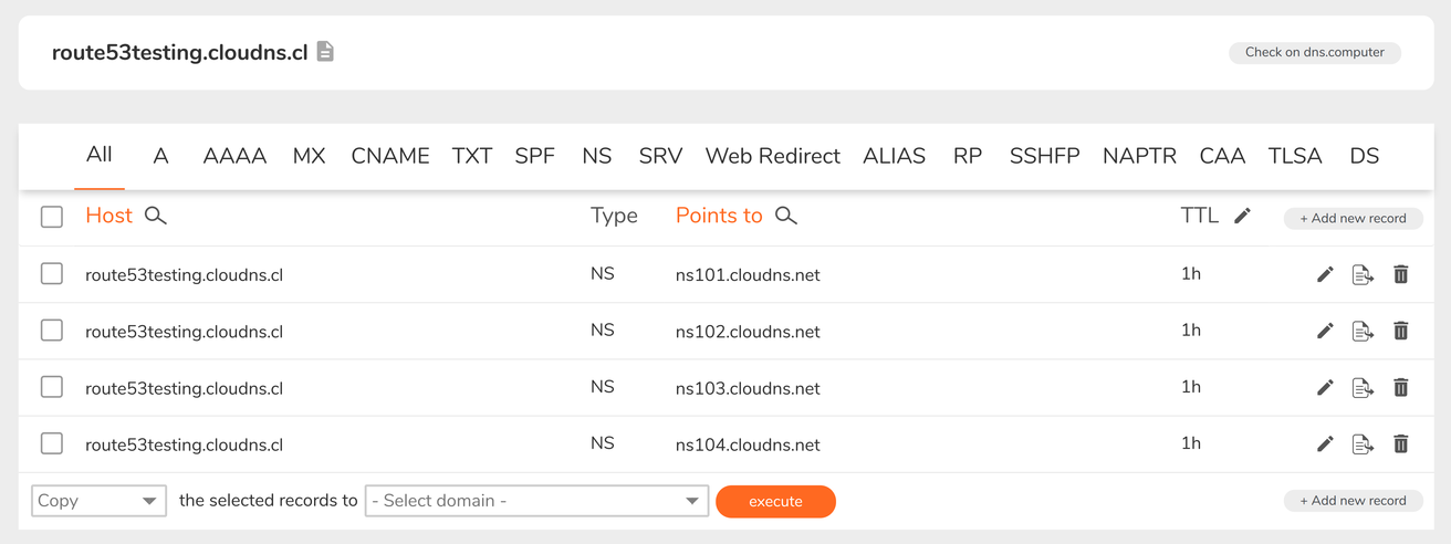 Newly created free zone on the ClouDNS console